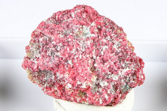 Rare, Vibrant Red Gillespite Specimen - Canada #380556